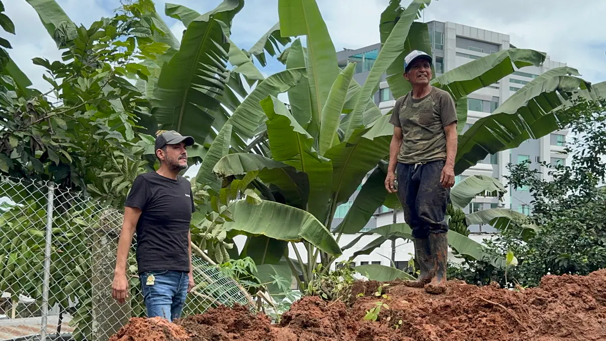 Hipólito Carrera conversa con un productor en una plantación de banano
